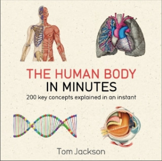 Knjiga Human Body in Minutes Tom Jackson