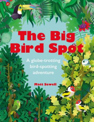 Könyv Big Bird Spot Matt Sewell