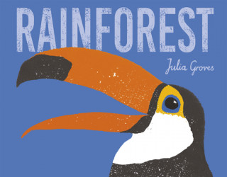 Könyv Rainforest Julia Groves