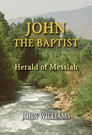 Buch JOHN THE BAPTIST John Williams