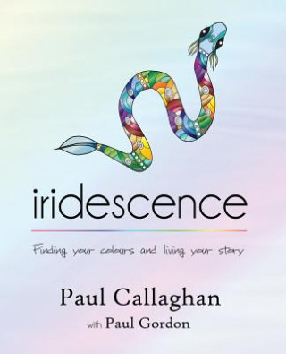 Kniha iridescence Paul Callaghan