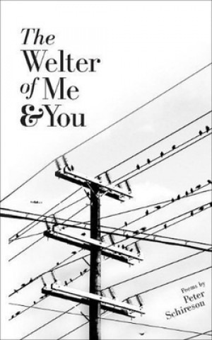 Buch Welter of Me and You Peter Schireson