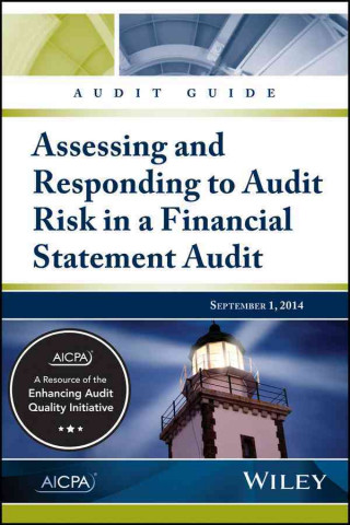 Könyv Audit Guide Aicpa