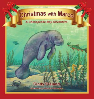 Könyv Christmas with Marco Cindy Freland