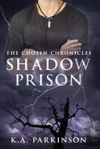 Buch The Shadow Prison K. A. Parkinson