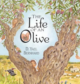 Kniha LIFE OF AN OLIVE D. Yael Bernhard