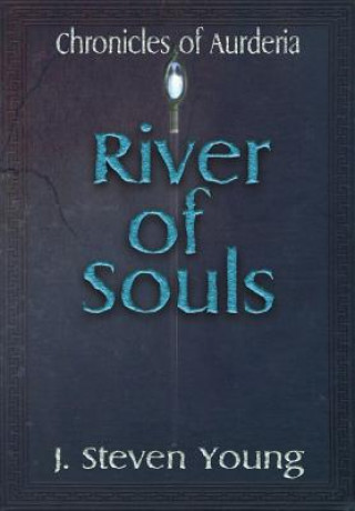 Buch River of Souls J. Steven Young