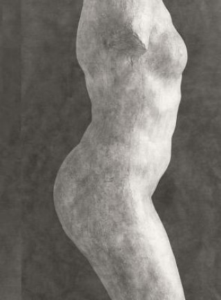 Kniha RODIN Helene Pinet