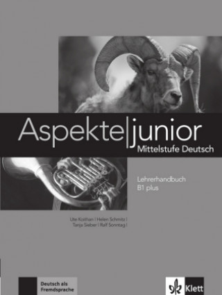 Kniha Aspekte junior Ute Koithan