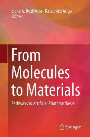 Knjiga From Molecules to Materials Elena A. Rozhkova