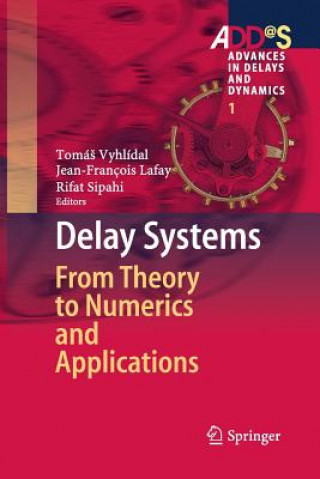 Kniha Delay Systems Jean-François Lafay
