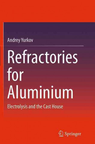 Kniha Refractories for Aluminium Andrey Yurkov