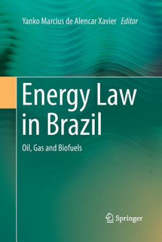 Kniha Energy Law in Brazil Yanko Marcius De Alencar Xavier