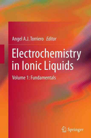 Kniha Electrochemistry in Ionic Liquids Angel A. J. Torriero