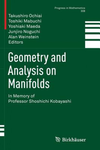 Kniha Geometry and Analysis on Manifolds Toshiki Mabuchi