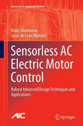 Książka Sensorless AC Electric Motor Control Alain Glumineau