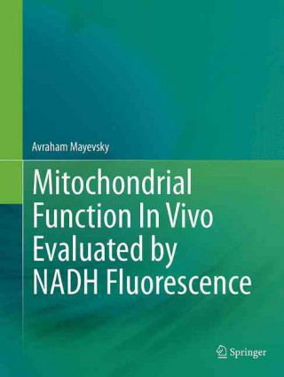 Könyv Mitochondrial Function In Vivo Evaluated by NADH Fluorescence Avraham Mayevsky