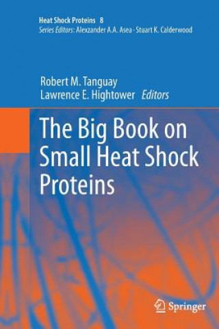 Carte Big Book on Small Heat Shock Proteins Lawrence E. Hightower