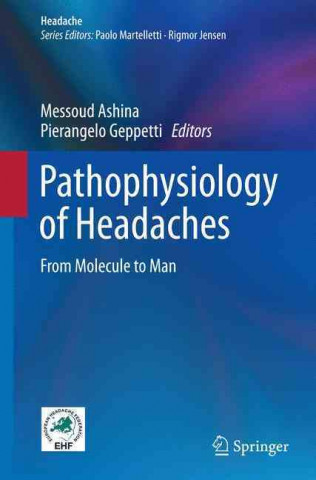 Könyv Pathophysiology of Headaches Messoud Ashina
