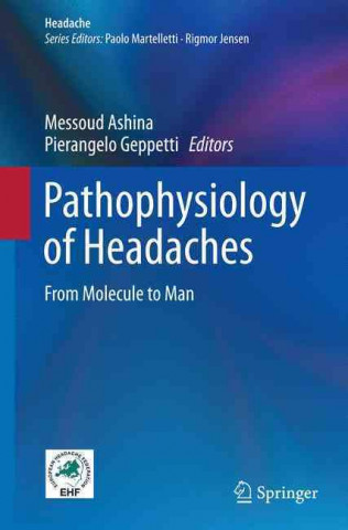 Buch Pathophysiology of Headaches Messoud Ashina