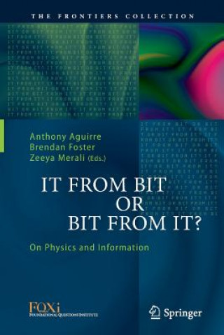 Kniha It From Bit or Bit From It? Anthony Aguirre