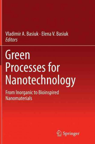 Kniha Green Processes for Nanotechnology Vladimir A. Basiuk