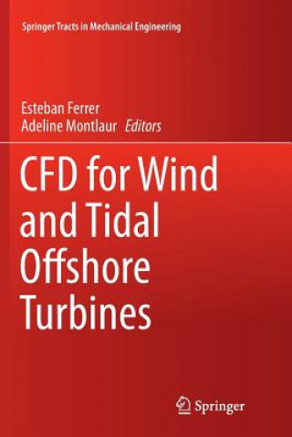 Könyv CFD for Wind and Tidal Offshore Turbines Esteban Ferrer