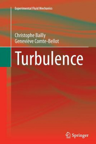 Kniha Turbulence Christophe Bailly