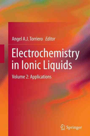 Книга Electrochemistry in Ionic Liquids Angel A. J. Torriero