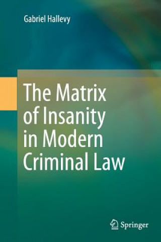 Könyv Matrix of Insanity in Modern Criminal Law Gabriel Hallevy