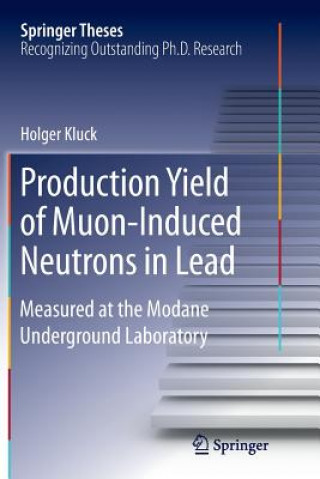 Książka Production Yield of Muon-Induced Neutrons in Lead Holger Kluck