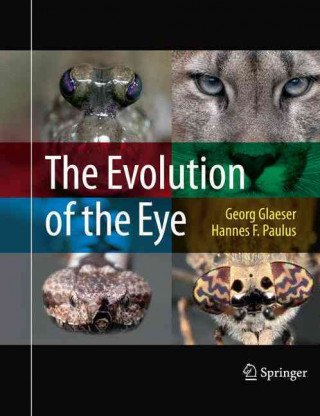 Kniha Evolution of the Eye Georg Glaeser