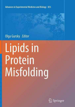 Kniha Lipids in Protein Misfolding Olga Gursky