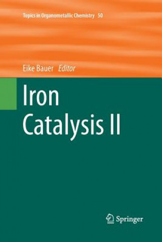 Książka Iron Catalysis II Eike Bauer