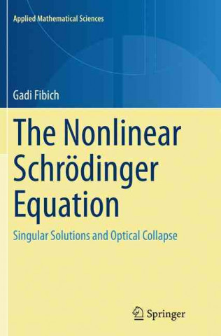 Kniha Nonlinear Schroedinger Equation Gadi Fibich