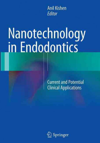 Könyv Nanotechnology in Endodontics Anil Kishen