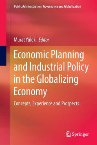 Kniha Economic Planning and Industrial Policy in the Globalizing Economy Murat Yülek