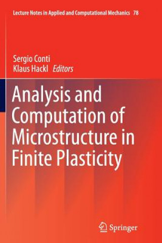 Könyv Analysis and Computation of Microstructure in Finite Plasticity Sergio Conti