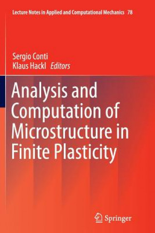 Kniha Analysis and Computation of Microstructure in Finite Plasticity Sergio Conti