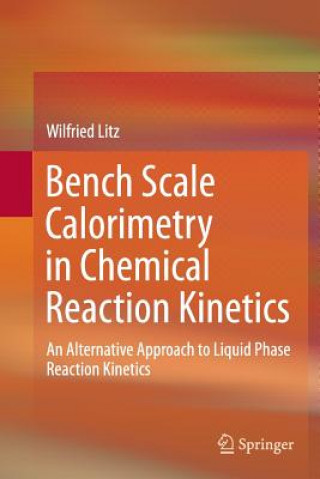 Kniha Bench Scale Calorimetry in Chemical Reaction Kinetics Wilfried Litz