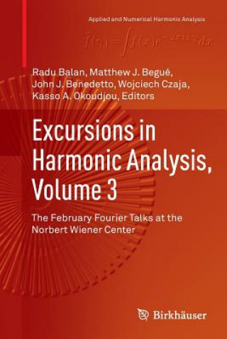 Könyv Excursions in Harmonic Analysis, Volume 3 Radu Balan
