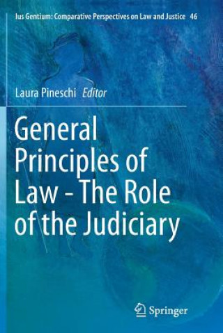 Könyv General Principles of Law - The Role of the Judiciary Laura Pineschi