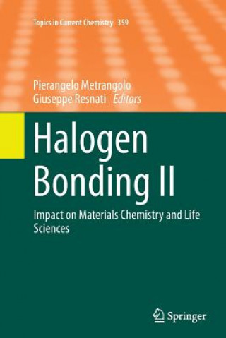 Kniha Halogen Bonding II Pierangelo Metrangolo