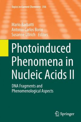 Książka Photoinduced Phenomena in Nucleic Acids II Mario Barbatti