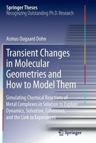 Książka Transient Changes in Molecular Geometries and How to Model Them Asmus Ougaard Dohn