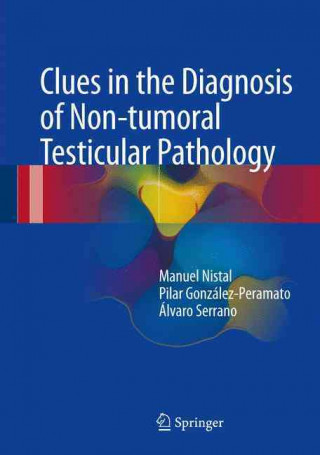 Könyv Clues in the Diagnosis of Non-tumoral Testicular Pathology Manuel Nistal Martin de Serrano