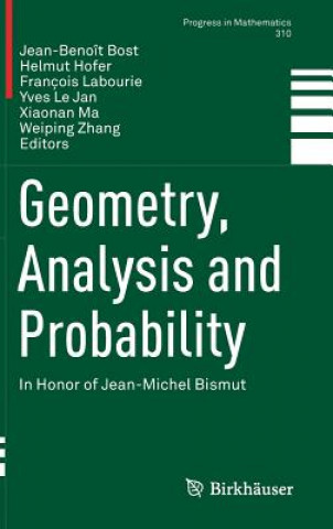 Kniha Geometry, Analysis and Probability Jean-Benoît Bost