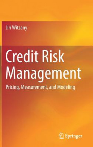 Kniha Credit Risk Management Jirí Witzany