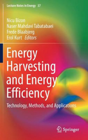 Könyv Energy Harvesting and Energy Efficiency Nicu Bizon