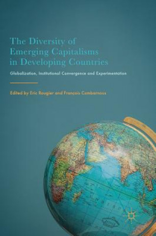 Livre Diversity of Emerging Capitalisms in Developing Countries Eric Rougier